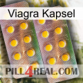 Viagra Capsule new10